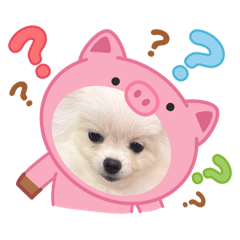 林毛毛的日常生活（新版）