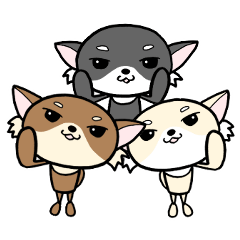 チワワの心（挨拶・日常）