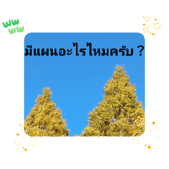 Let's try mysterious everyday greetings