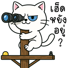 Bright Funny Cat (E-San)