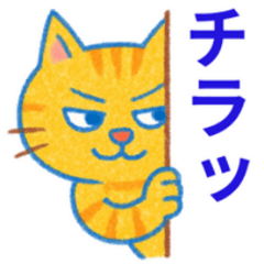 目つきの悪いトラ猫の日常