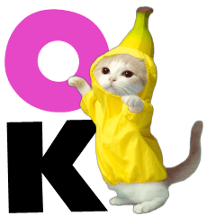 Moving large text cat Sticker
