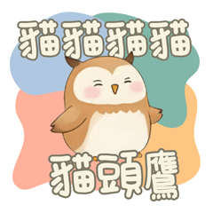貓貓貓貓貓頭鷹
