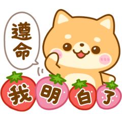 Mameshiba Spring Pop-Up Stickers