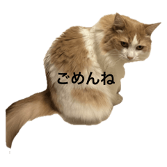 みるちゃん日常1
