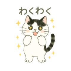もち猫シダー君のスタンプ