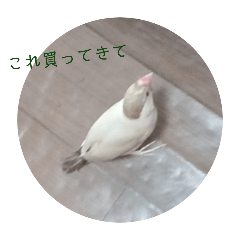 シナモン文鳥しーちゃんスタンプ5