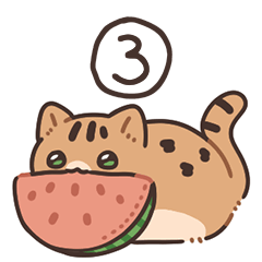 三米的那一小米-03 sum毛vacation