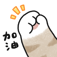 貓咪的胖手手很有戲 (奶油虎斑貓)