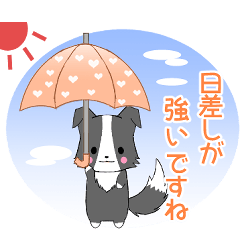 Ruki-BorderCollie22