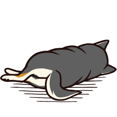 人間味あふれる黒柴スタンプ
