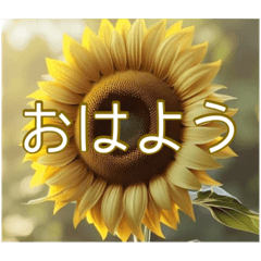 デカ文字・ひまわり