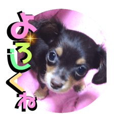 Kinaco_20250701074640