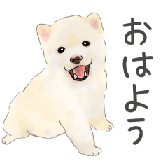 豆柴、柴犬の毎日使えるスタンプ