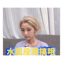 Angel凌的十二星座