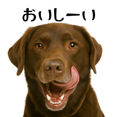 ChocoLove Daily Life