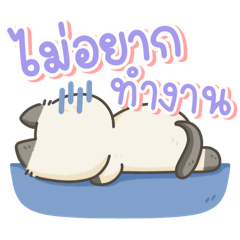 Sakoo & Chaoguay 3 - Work every day