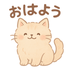 Fluffy Kitty  Daily Feelings