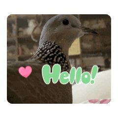 aa yu_20250702073727