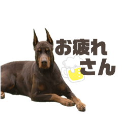 タナカアーツ