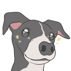 少し動くイタグレくん