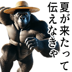 [tell you about summer] Handsome Gorilla
