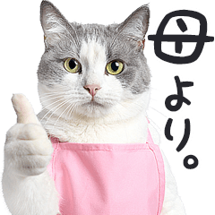 มีมแมวจริง/แม่