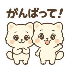 Fluffy Tanuki Time