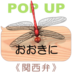 Dragonfly 6 (pop-up)