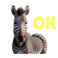 zebra E