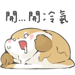 肥嫩水獺 — 朵朵的夏天日常