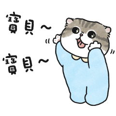 奶油小生要找寶貝(虎斑貓)藍