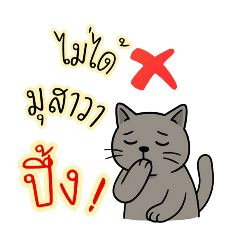 Buddy the golden_20250702110158