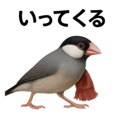 リアルな文鳥の日常表現LINEスタンプ