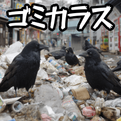 ゴミカラス