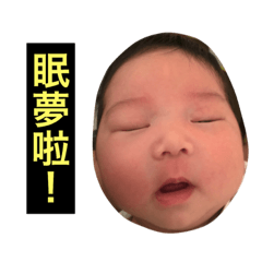 洪力日常