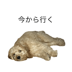 natsu_20250702083507