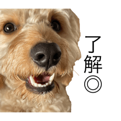 natsu_20250702083819