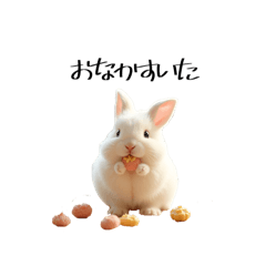 Rabbit Rabbit Rabbit RRRRR