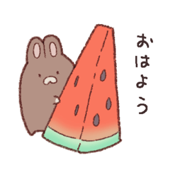 いつものうさちゃん(夏のすがた2)