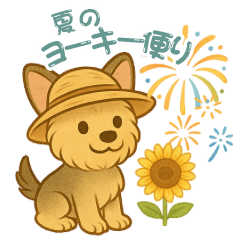 夏のヨーキー便り