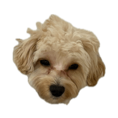 Hannah_20250702160825