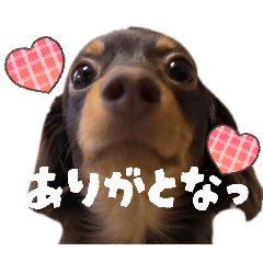 TENN's sticker