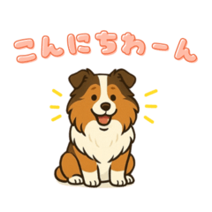 シェルティのだんごちゃん