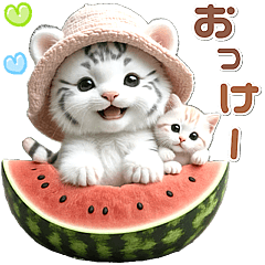 Summer heatwave White tiger and cat