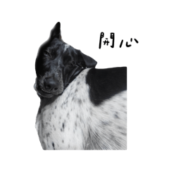 Joanne_20250702230422