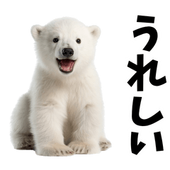 シロクマ♪横取り禁止です！ Sad news] The moment Ho-chan slipped and fell on the ice [Tennoji