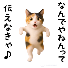 *A cat trying to say something(Kansai)