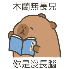 卡比巴拉肥水豚你沒長腦