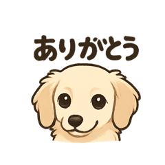 hikari_20250703152412